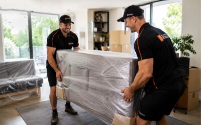 Why Furniture Removals Brisbane Is Worth It When You’re Moving